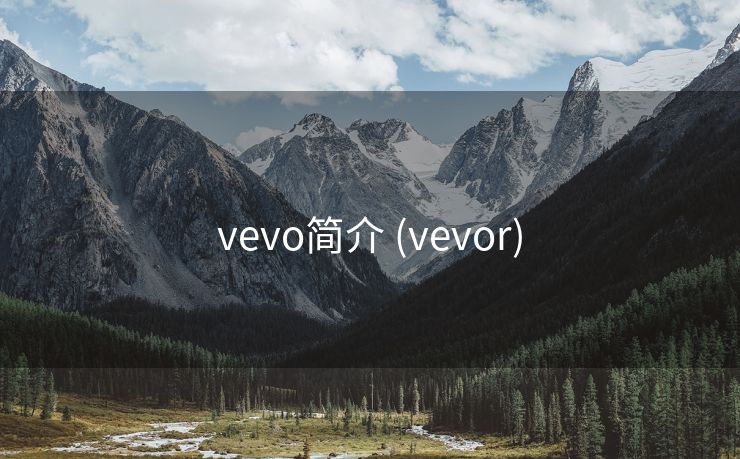 vevo简介 (vevor)