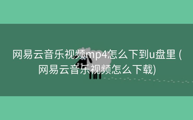 网易云音乐视频mp4怎么下到u盘里 (网易云音乐视频怎么下载)