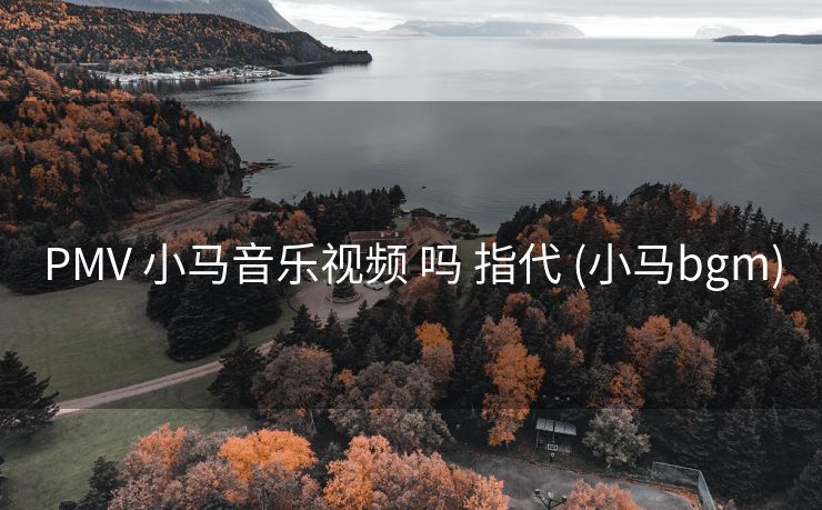 PMV 小马音乐视频 吗 指代 (小马bgm)