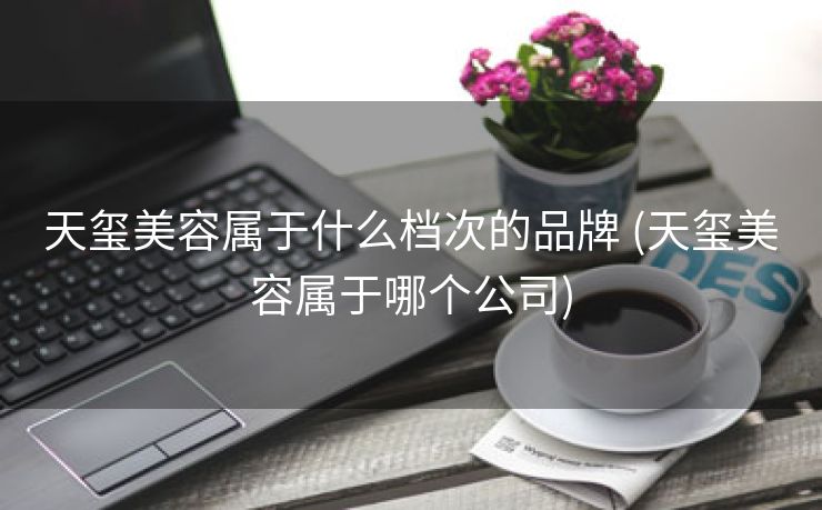 天玺美容属于什么档次的品牌 (天玺美容属于哪个公司)