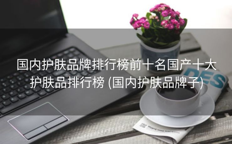 国内护肤品牌排行榜前十名国产十大护肤品排行榜 (国内护肤品牌子)