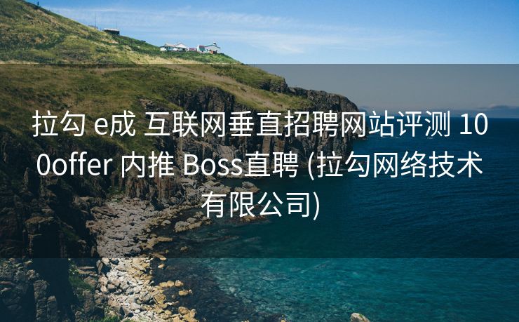 拉勾 e成 互联网垂直招聘网站评测 100offer 内推 Boss直聘 (拉勾网络技术有限公司)