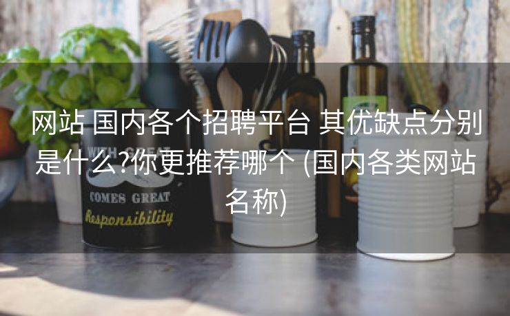 网站 国内各个招聘平台 其优缺点分别是什么?你更推荐哪个 (国内各类网站名称)