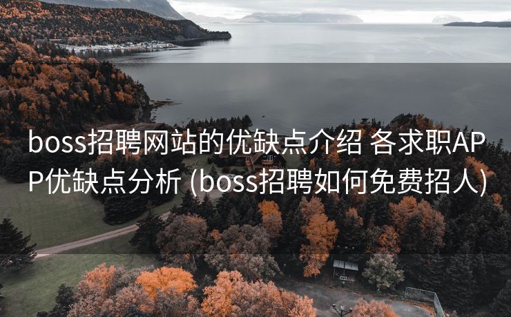 boss招聘网站的优缺点介绍 各求职APP优缺点分析 (boss招聘如何免费招人)