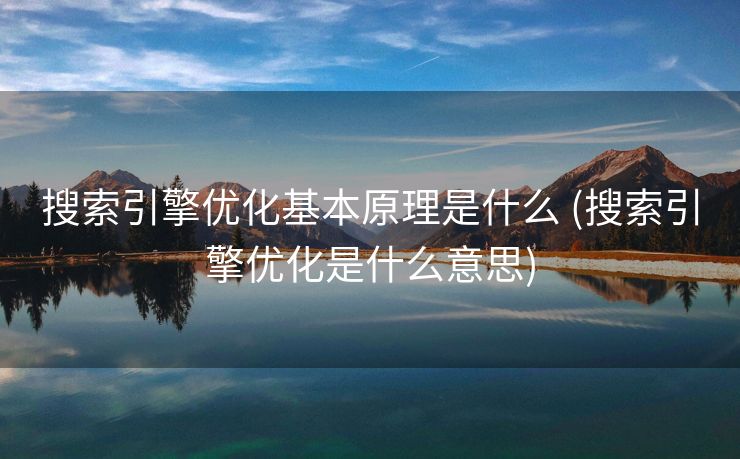 搜索引擎优化基本原理是什么 (搜索引擎优化是什么意思)