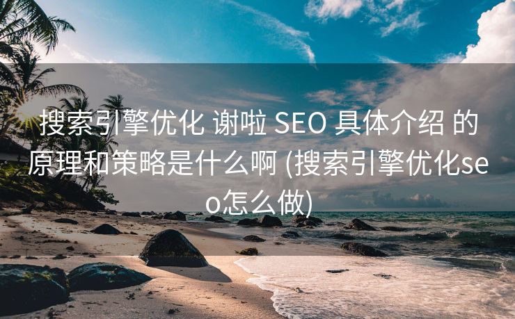 搜索引擎优化 谢啦 SEO 具体介绍 的原理和策略是什么啊 (搜索引擎优化seo怎么做)