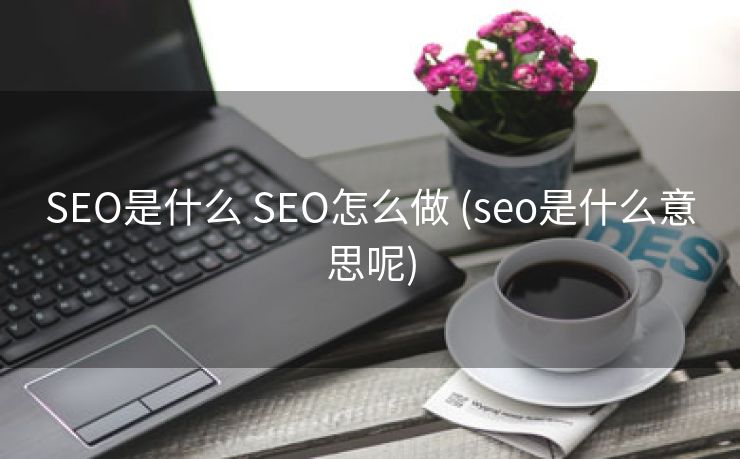 SEO是什么 SEO怎么做 (seo是什么意思呢)