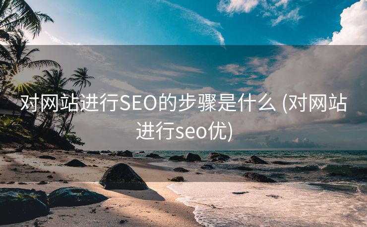 对网站进行SEO的步骤是什么 (对网站进行seo优)