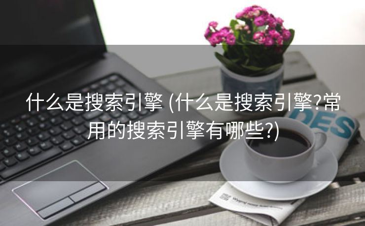 什么是搜索引擎 (什么是搜索引擎?常用的搜索引擎有哪些?)