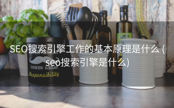 SEO搜索引擎工作的基本原理是什么 (seo搜索引擎是什么)