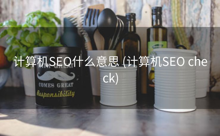 计算机SEO什么意思 (计算机SEO check)