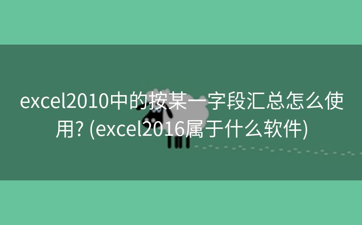 excel2010中的按某一字段汇总怎么使用? (excel2016属于什么软件)