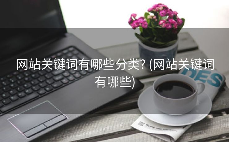 网站关键词有哪些分类? (网站关键词有哪些)