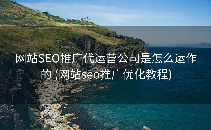 网站SEO推广代运营公司是怎么运作的 (网站seo推广优化教程)