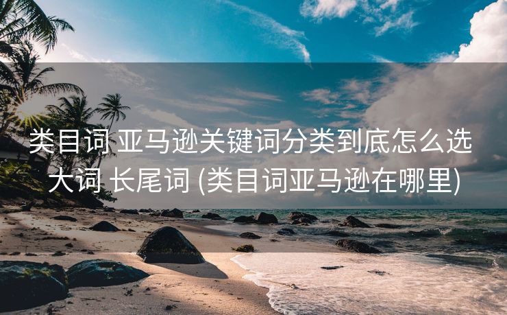 类目词 亚马逊关键词分类到底怎么选 大词 长尾词 (类目词亚马逊在哪里)