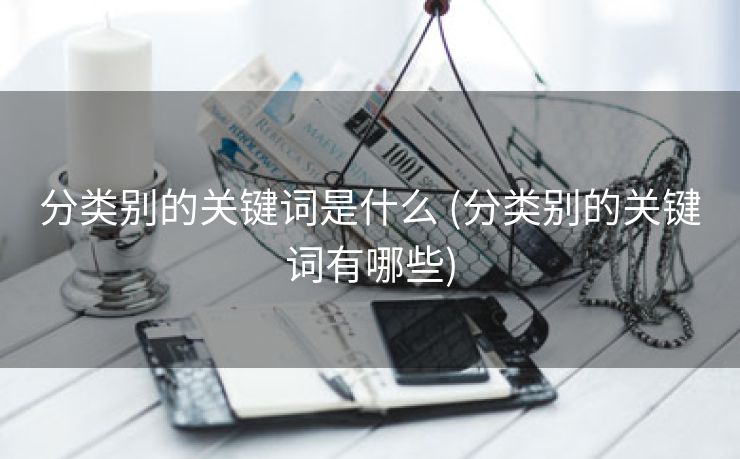 分类别的关键词是什么 (分类别的关键词有哪些)