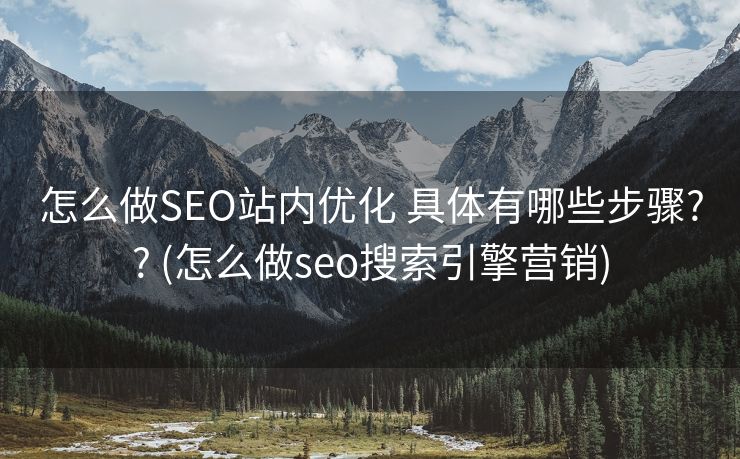 怎么做SEO站内优化 具体有哪些步骤?? (怎么做seo搜索引擎营销)