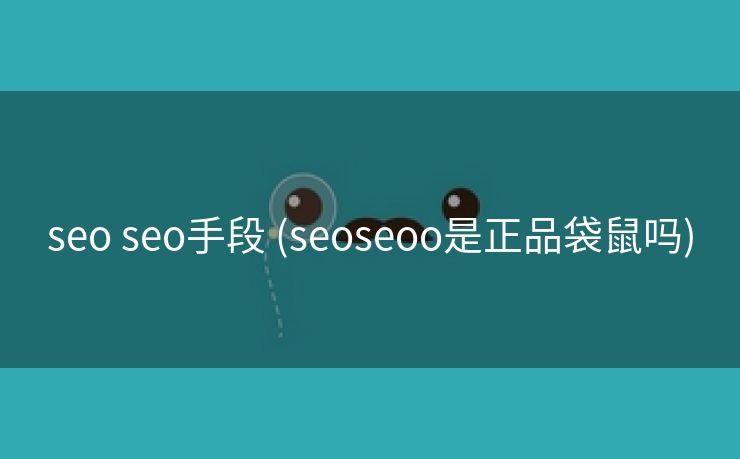 seo seo手段 (seoseoo是正品袋鼠吗)