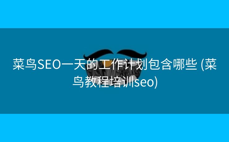 菜鸟SEO一天的工作计划包含哪些 (菜鸟教程培训seo)