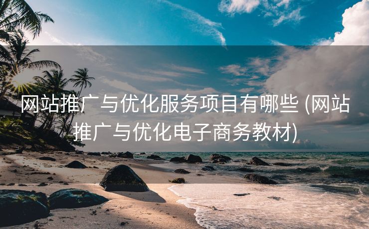 网站推广与优化服务项目有哪些 (网站推广与优化电子商务教材)