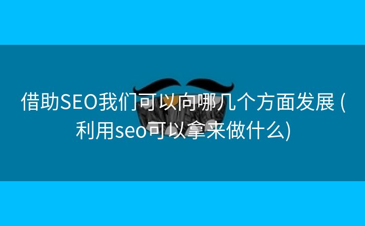 借助SEO我们可以向哪几个方面发展 (利用seo可以拿来做什么)