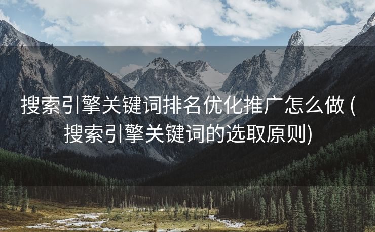 搜索引擎关键词排名优化推广怎么做 (搜索引擎关键词的选取原则)
