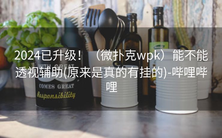 2024已升级！（微扑克wpk）能不能透视辅助(原来是真的有挂的)-哔哩哔哩