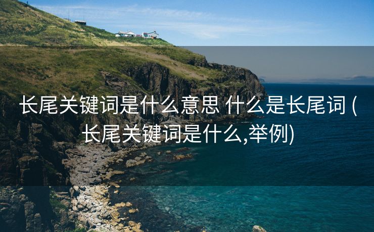 长尾关键词是什么意思 什么是长尾词 (长尾关键词是什么,举例)