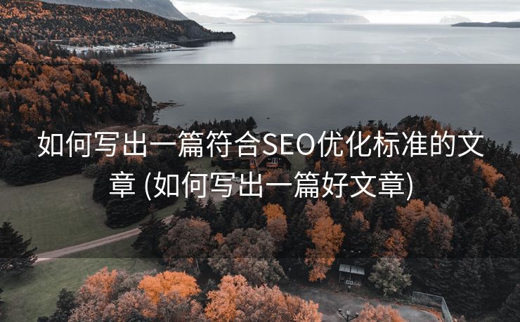 如何写出一篇符合SEO优化标准的文章 (如何写出一篇好文章)