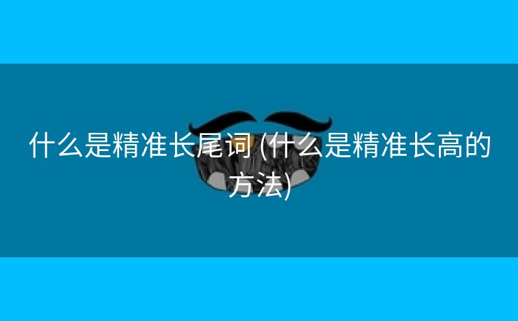 什么是精准长尾词 (什么是精准长高的方法)