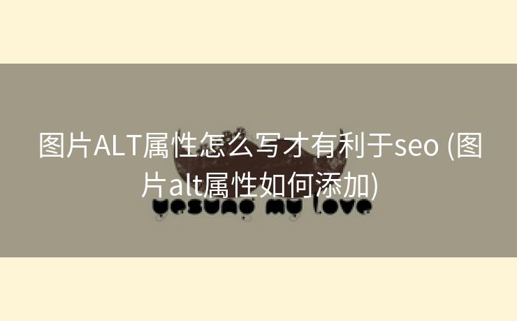 图片ALT属性怎么写才有利于seo (图片alt属性如何添加)