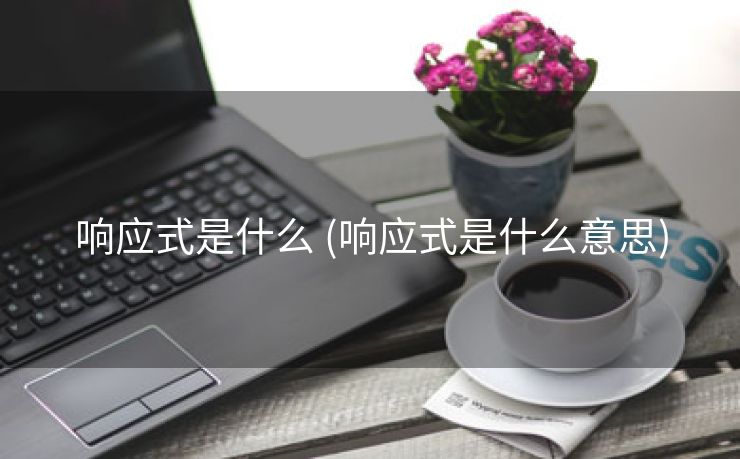 响应式是什么 (响应式是什么意思)