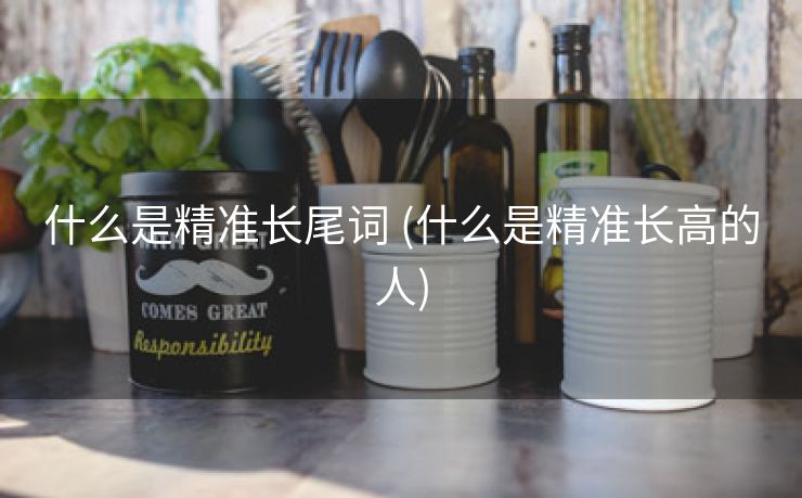 什么是精准长尾词 (什么是精准长高的人)