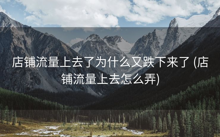 店铺流量上去了为什么又跌下来了 (店铺流量上去怎么弄)