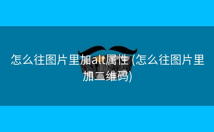 怎么往图片里加alt属性 (怎么往图片里加二维码)