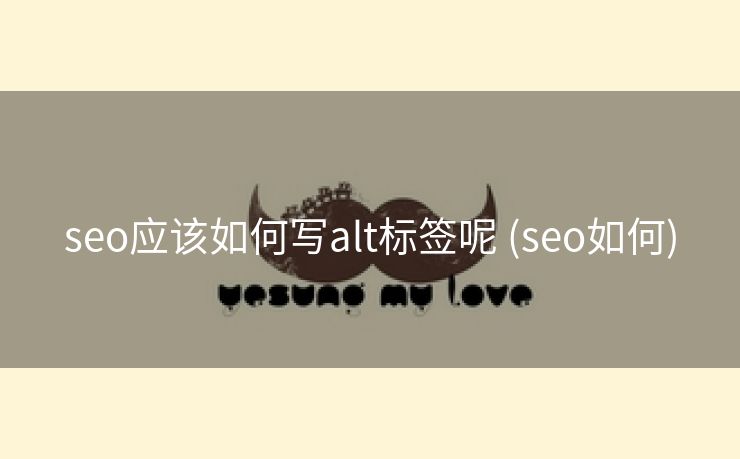 seo应该如何写alt标签呢 (seo如何)