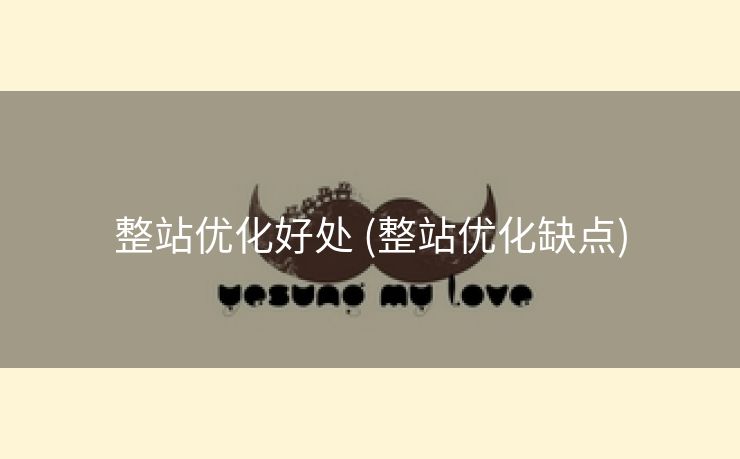 整站优化好处 (整站优化缺点)