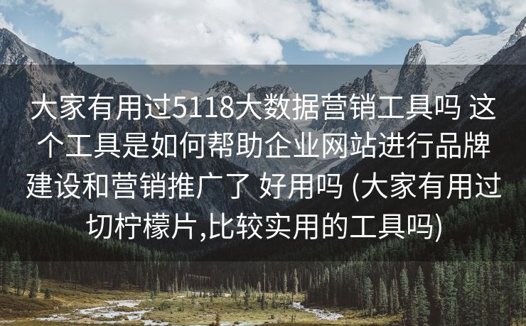 大家有用过5118大数据营销工具吗 这个工具是如何帮助企业网站进行品牌建设和营销推广了 好用吗 (大家有用过切柠檬片,比较实用的工具吗)