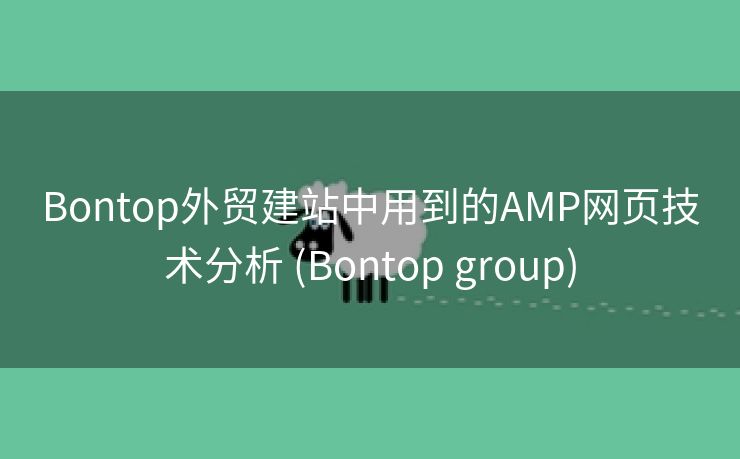 Bontop外贸建站中用到的AMP网页技术分析 (Bontop group)