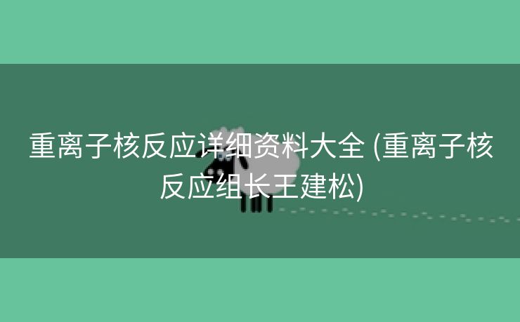 重离子核反应详细资料大全 (重离子核反应组长王建松)
