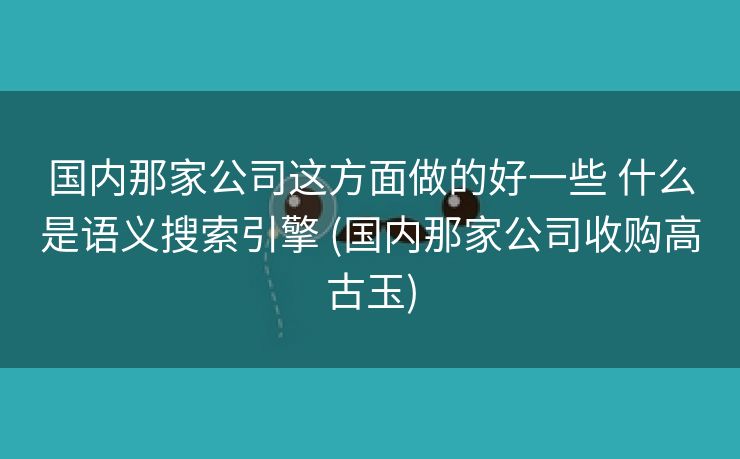 国内那家公司这方面做的好一些 什么是语义搜索引擎 (国内那家公司收购高古玉)