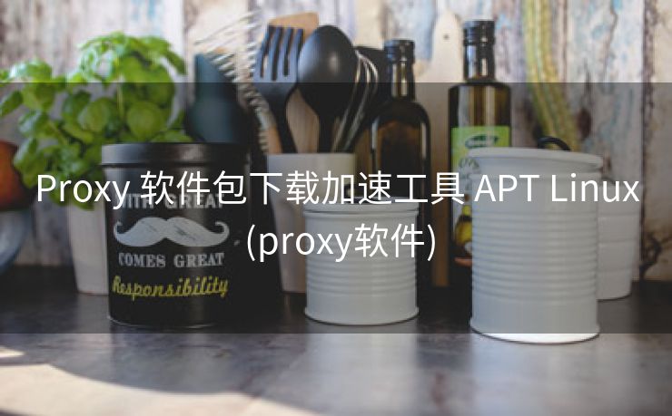 Proxy 软件包下载加速工具 APT Linux (proxy软件)
