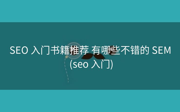 SEO 入门书籍推荐 有哪些不错的 SEM (seo 入门)
