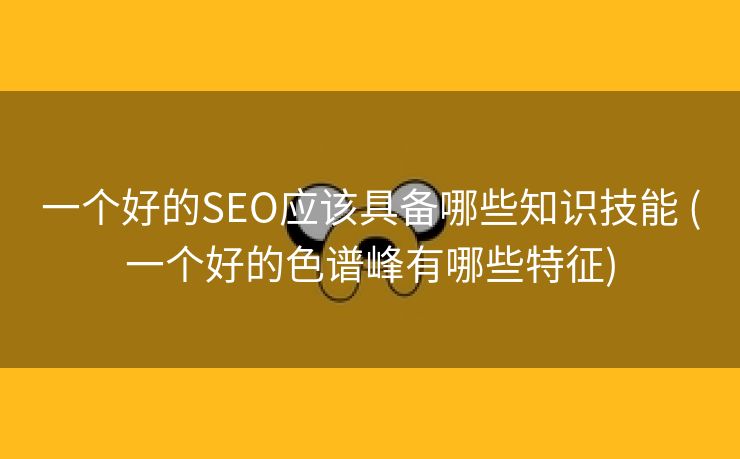 一个好的SEO应该具备哪些知识技能 (一个好的色谱峰有哪些特征)