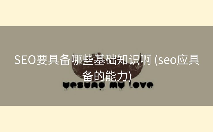 SEO要具备哪些基础知识啊 (seo应具备的能力)