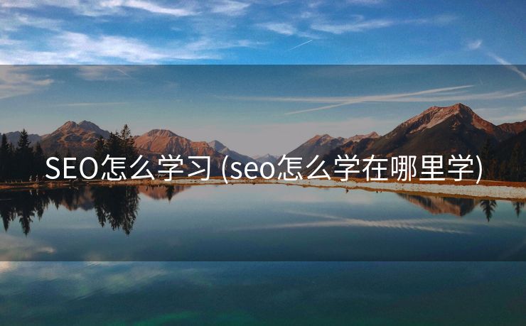 SEO怎么学习 (seo怎么学在哪里学)