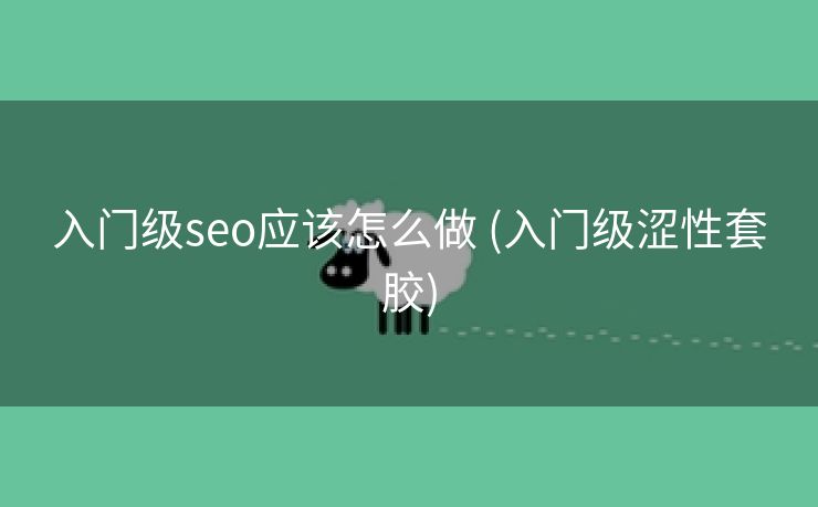 入门级seo应该怎么做 (入门级涩性套胶)