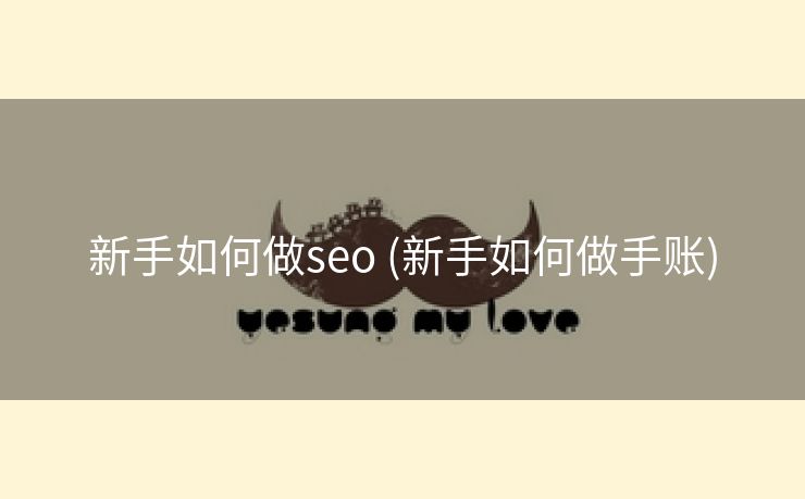 新手如何做seo (新手如何做手账)