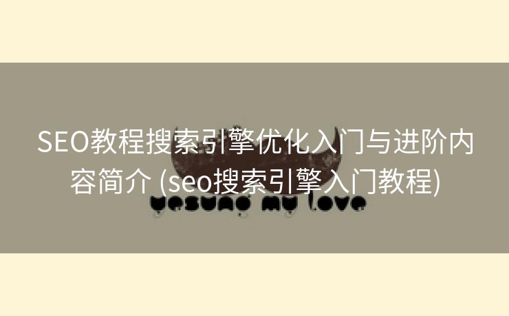 SEO教程搜索引擎优化入门与进阶内容简介 (seo搜索引擎入门教程)