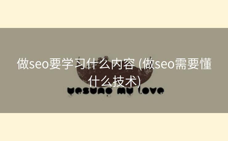 做seo要学习什么内容 (做seo需要懂什么技术)